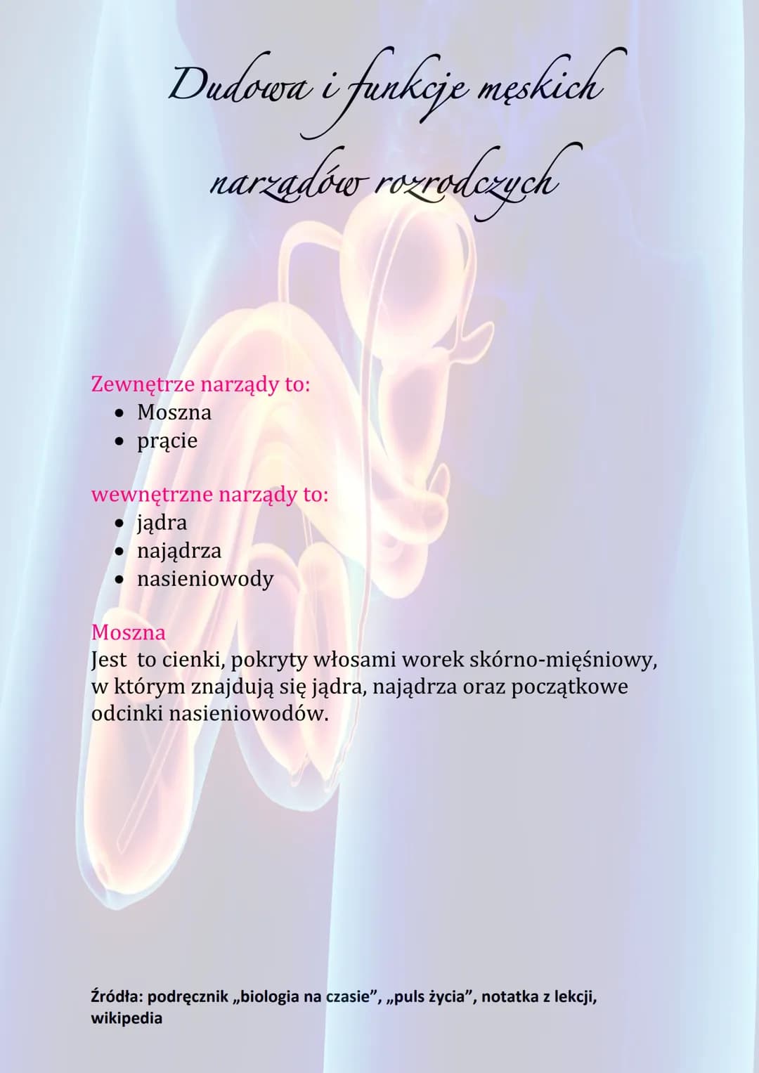 Dudowa i funkcje męskich
narzadów rozrodczych
Funkcje męskiego układu rozrodczego:
• Wytwarzanie komórek rozrodczych
• Wydzielanie hormonów 