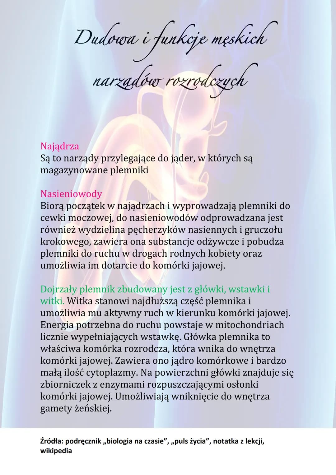 Dudowa i funkcje męskich
narzadów rozrodczych
Funkcje męskiego układu rozrodczego:
• Wytwarzanie komórek rozrodczych
• Wydzielanie hormonów 