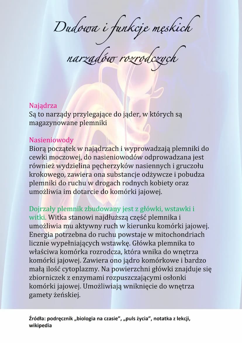 Dudowa i funkcje męskich
narzadów rozrodczych
Funkcje męskiego układu rozrodczego:
• Wytwarzanie komórek rozrodczych
• Wydzielanie hormonów 