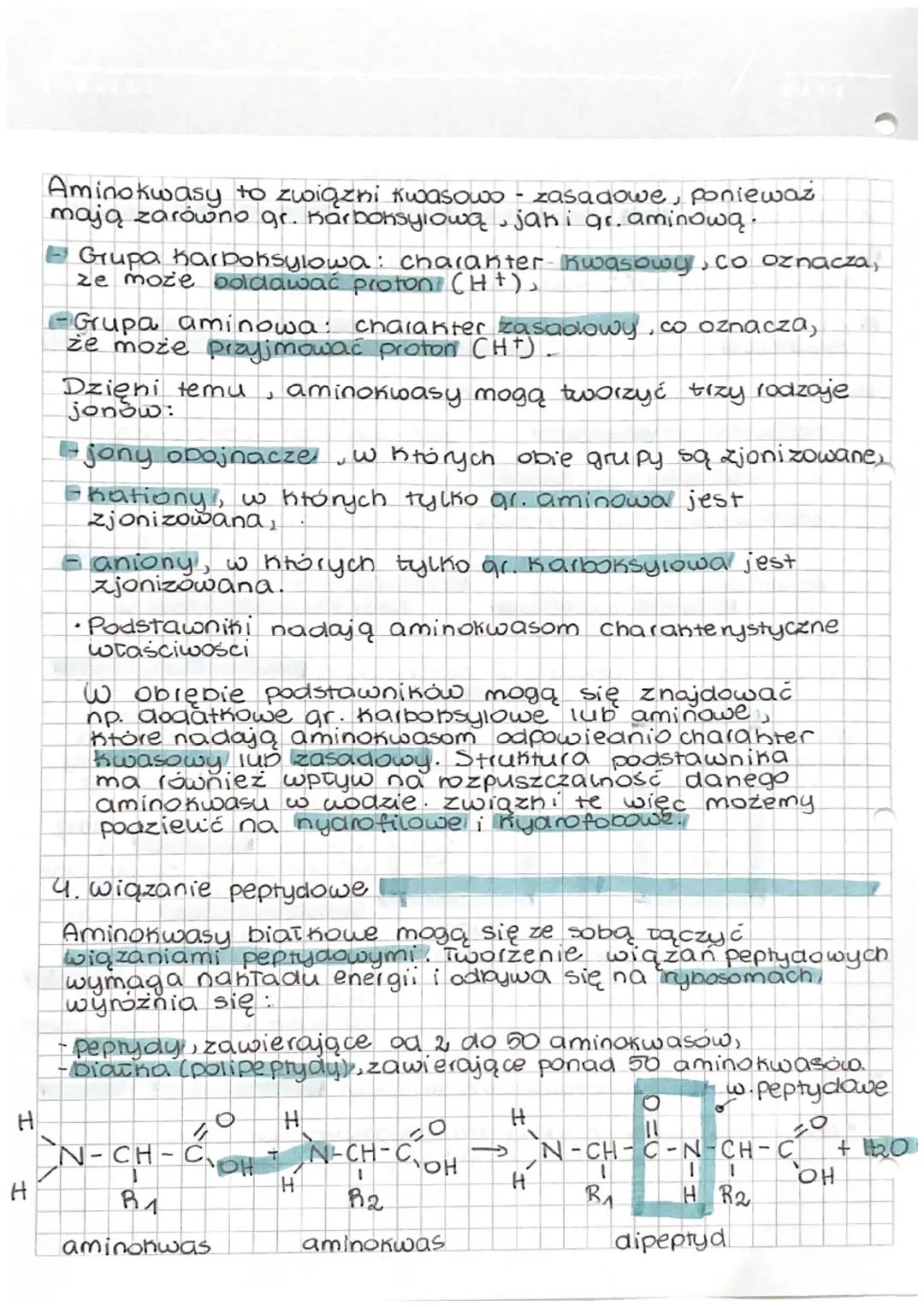 Aminohwasy. Budowa i funkcje biater.
1. Aminokwasy
zbudowane z węgla, wodoru, tlenu i azotu. W skiad
nientorych aminokwasów wchodzi również 