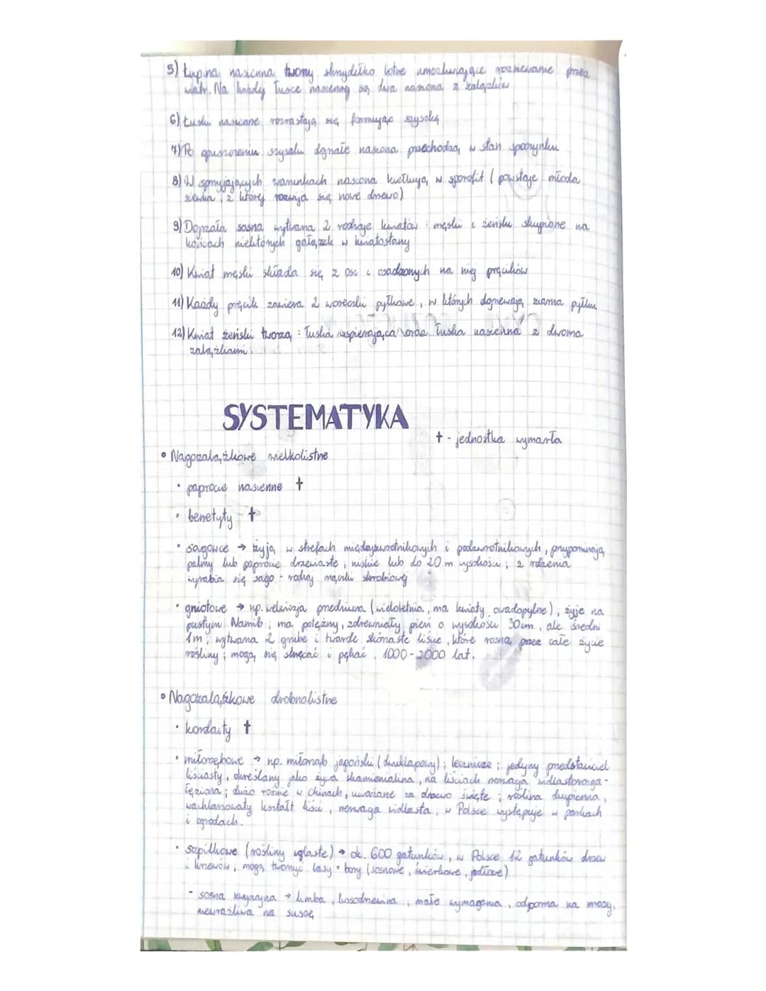 
<h3 id="cechyrolinnagonasiennych">Cechy roślin nagonasiennych</h3>
<p>Rośliny nagonasienne charakteryzują się tym, że ich nasiona nie są os