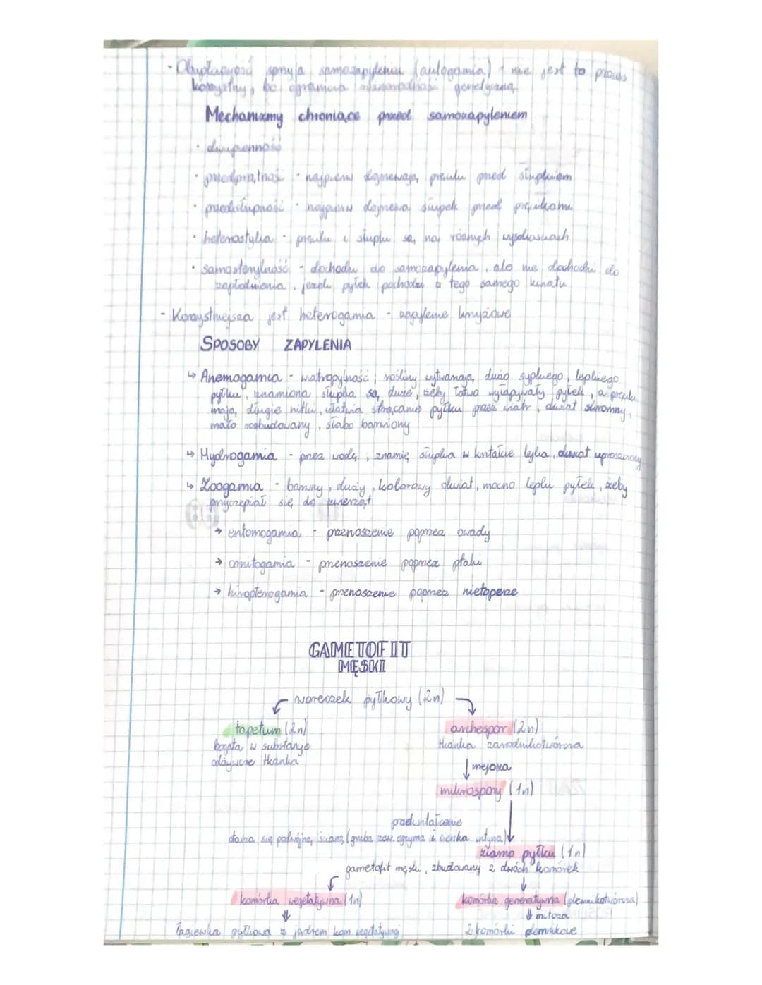 
<h3 id="cechyrolinnagonasiennych">Cechy roślin nagonasiennych</h3>
<p>Rośliny nagonasienne charakteryzują się tym, że ich nasiona nie są os