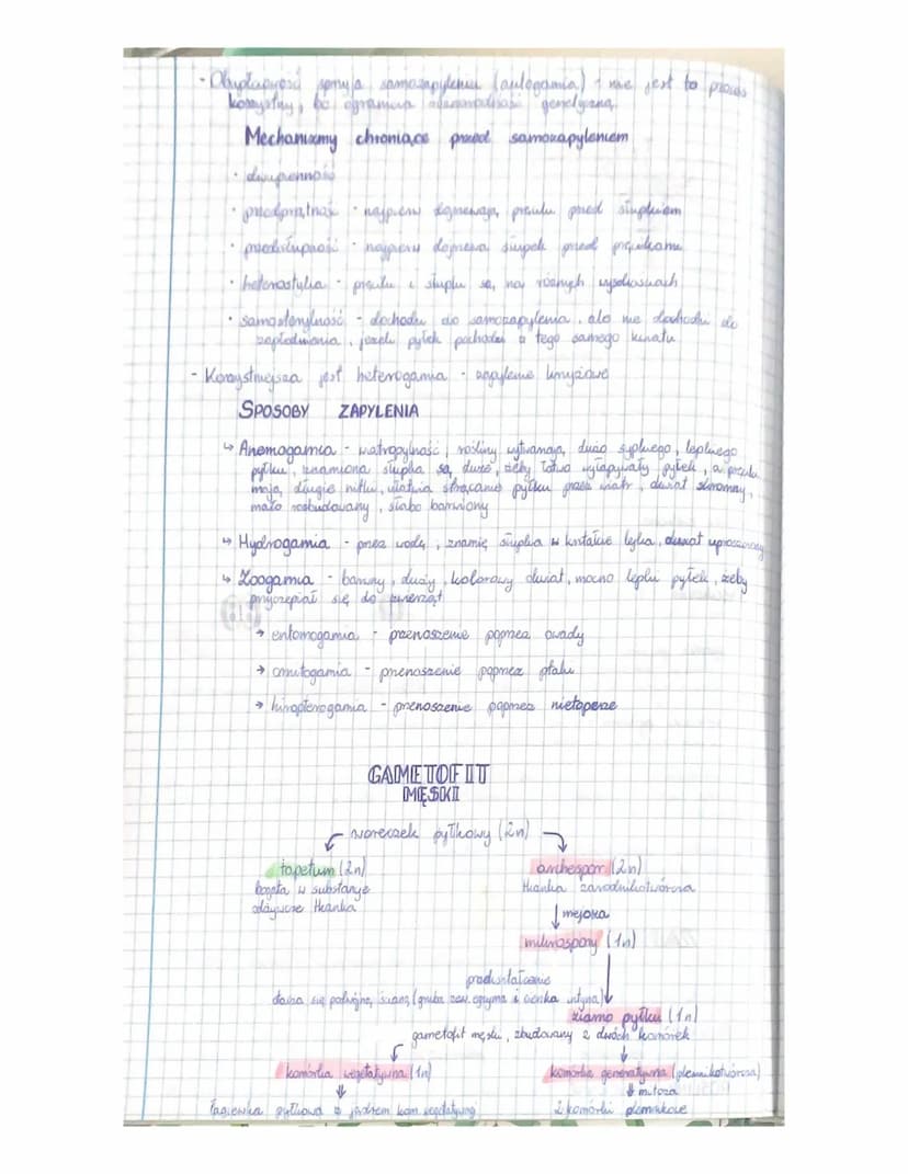 
<h3 id="cechyrolinnagonasiennych">Cechy roślin nagonasiennych</h3>
<p>Rośliny nagonasienne charakteryzują się tym, że ich nasiona nie są os