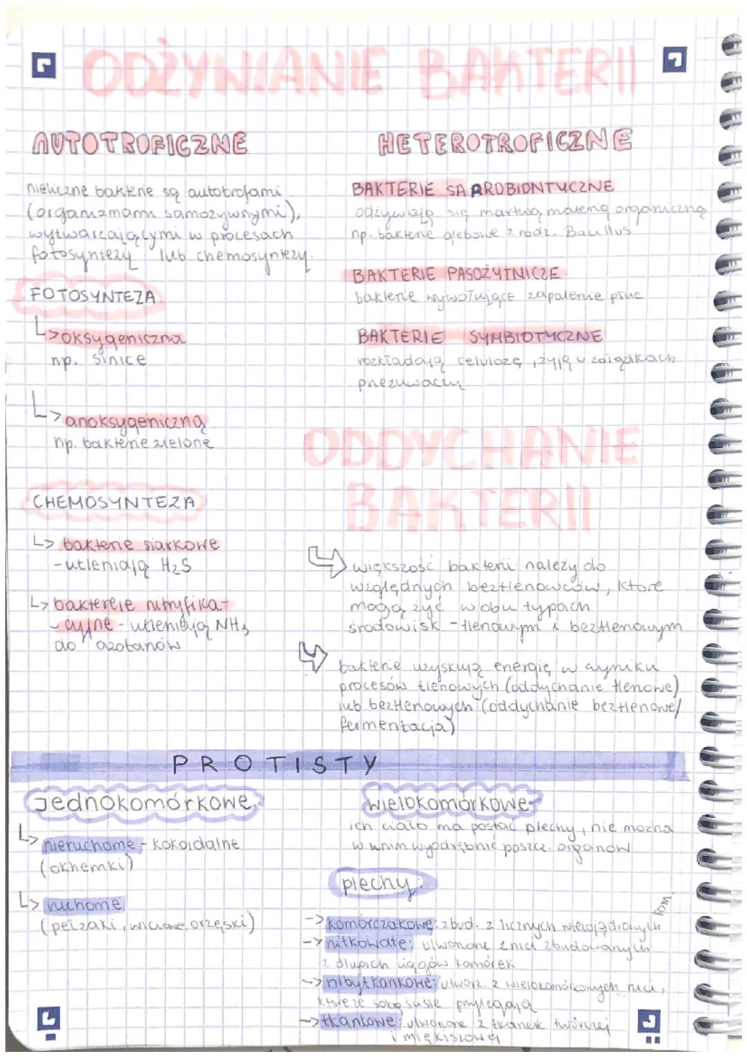 5 KLASYFIKOWANIE ORGANIZMÓW
12
.
TAKSONOMIA:
zajmuje się określaniem regut klasyfikacji
I nazewnictwa systematycznego
FILOGENETYKA: zajmuje 