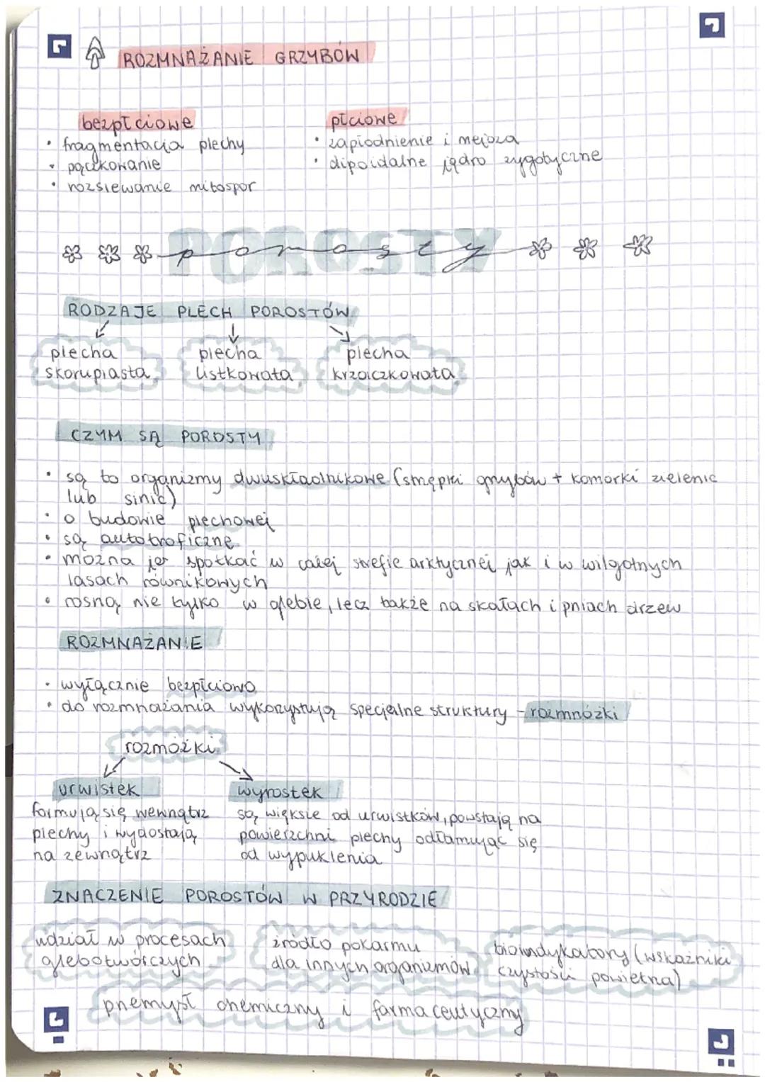 5 KLASYFIKOWANIE ORGANIZMÓW
12
.
TAKSONOMIA:
zajmuje się określaniem regut klasyfikacji
I nazewnictwa systematycznego
FILOGENETYKA: zajmuje 