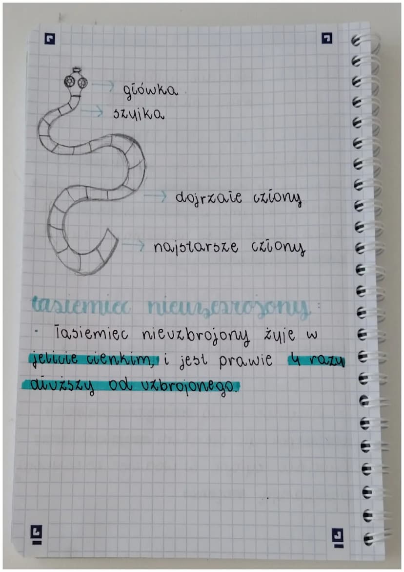 ecerisa
remat Plazinice - zwierzęta, które
major praskie ciato.
gdzie żyją ptar, ince?
Większość piozińców jest pasożytamin
@ żyjącymi w nar