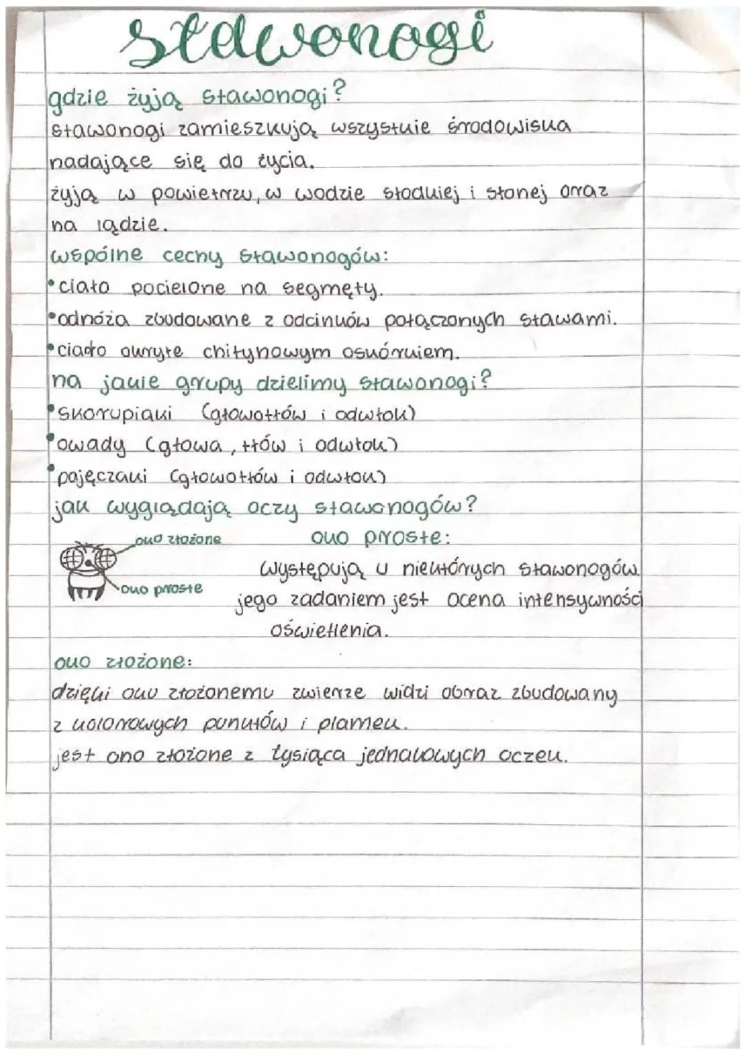 stawonogi sprawdzian