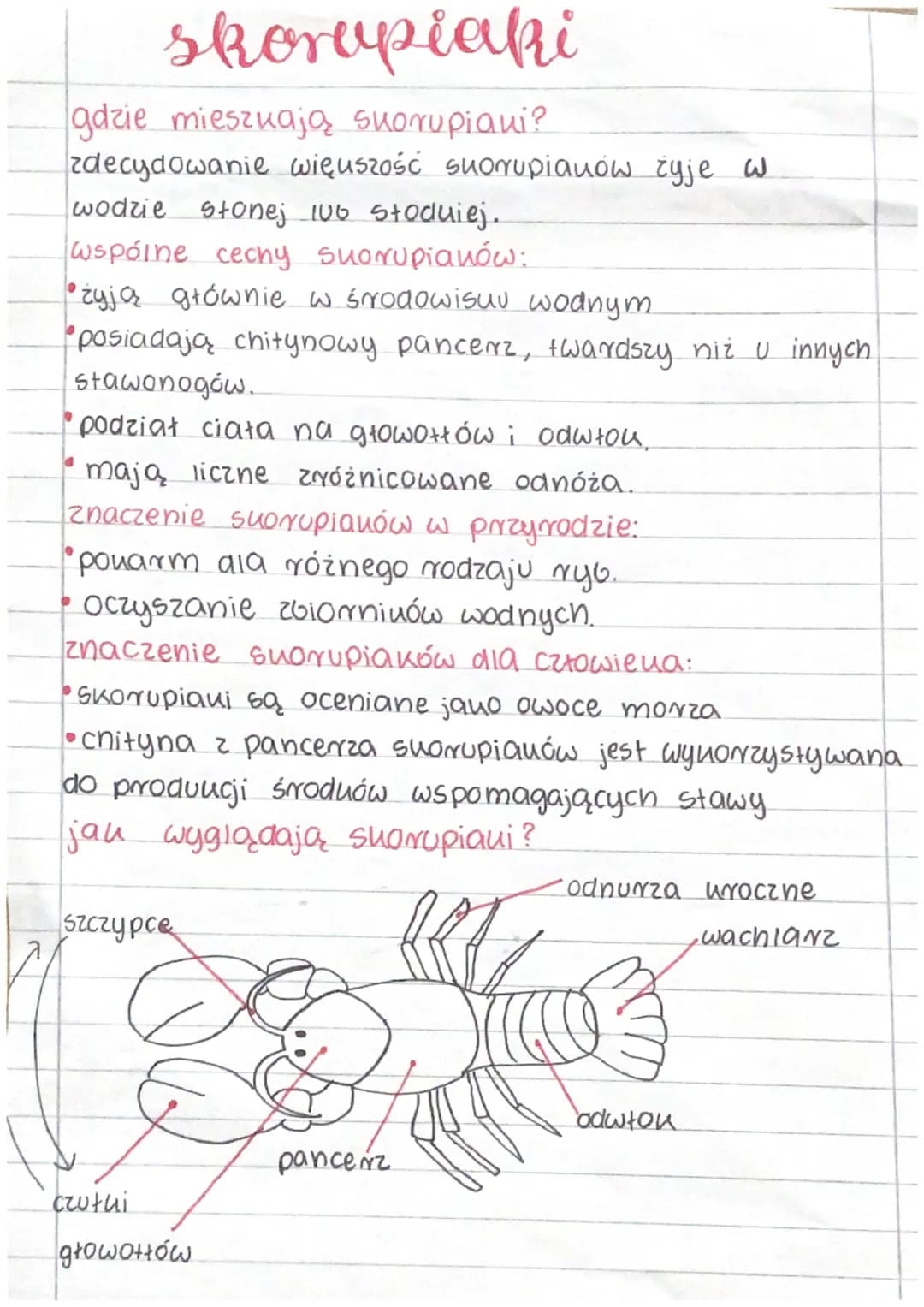 Stawonogi
gdzie żyją stawonogi?
Stawonogi zamieszkują wszystkie Środowisua
nadające się do tycia.
żyją w powietrzu, w wodzie słodniej i słon