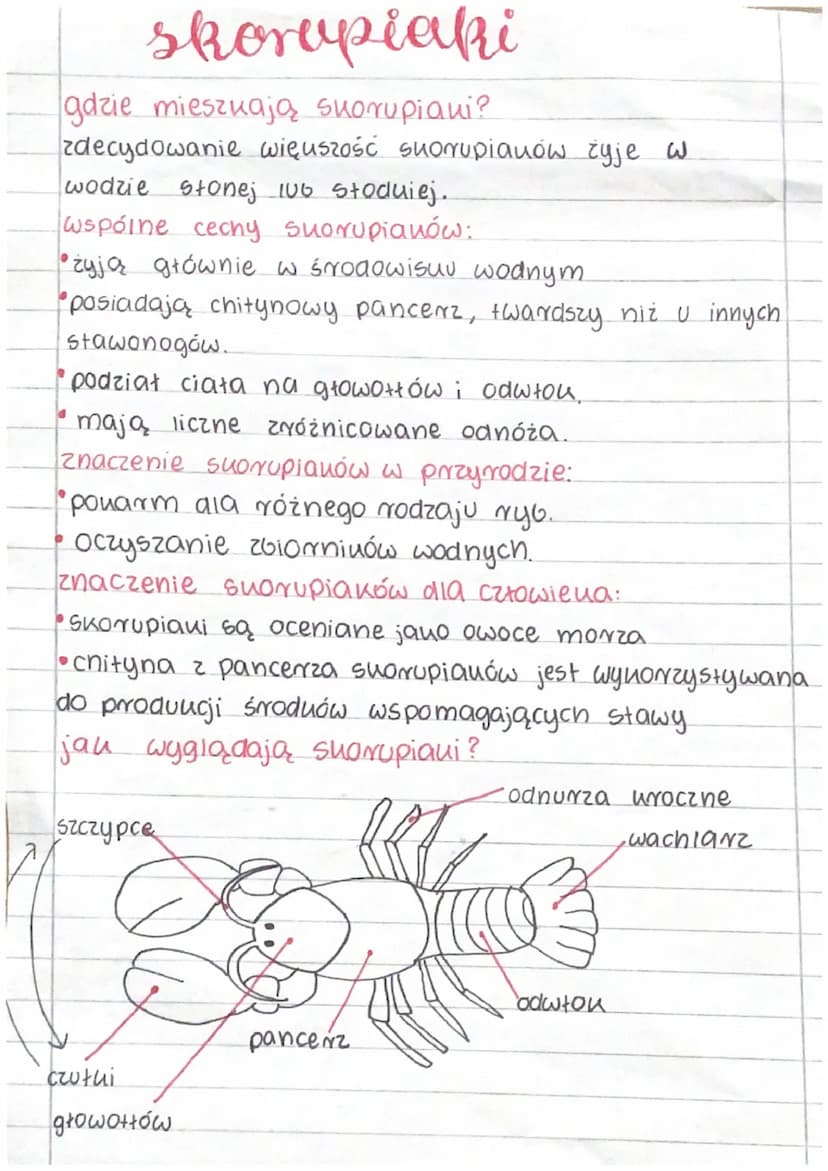 Stawonogi
gdzie żyją stawonogi?
Stawonogi zamieszkują wszystkie Środowisua
nadające się do tycia.
żyją w powietrzu, w wodzie słodniej i słon