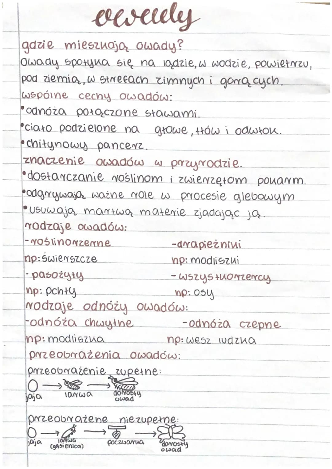 Stawonogi
gdzie żyją stawonogi?
Stawonogi zamieszkują wszystkie Środowisua
nadające się do tycia.
żyją w powietrzu, w wodzie słodniej i słon