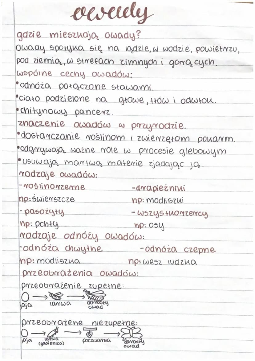 Stawonogi
gdzie żyją stawonogi?
Stawonogi zamieszkują wszystkie Środowisua
nadające się do tycia.
żyją w powietrzu, w wodzie słodniej i słon