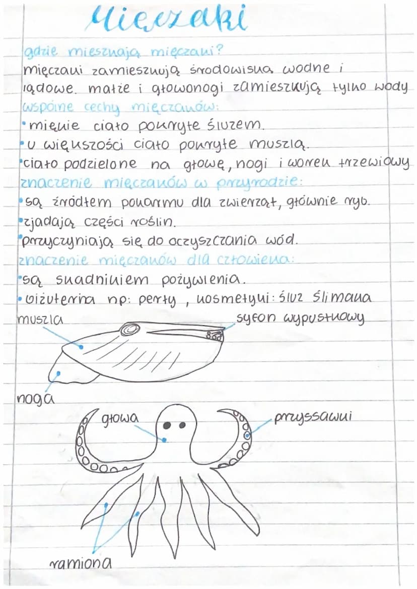 Stawonogi
gdzie żyją stawonogi?
Stawonogi zamieszkują wszystkie Środowisua
nadające się do tycia.
żyją w powietrzu, w wodzie słodniej i słon