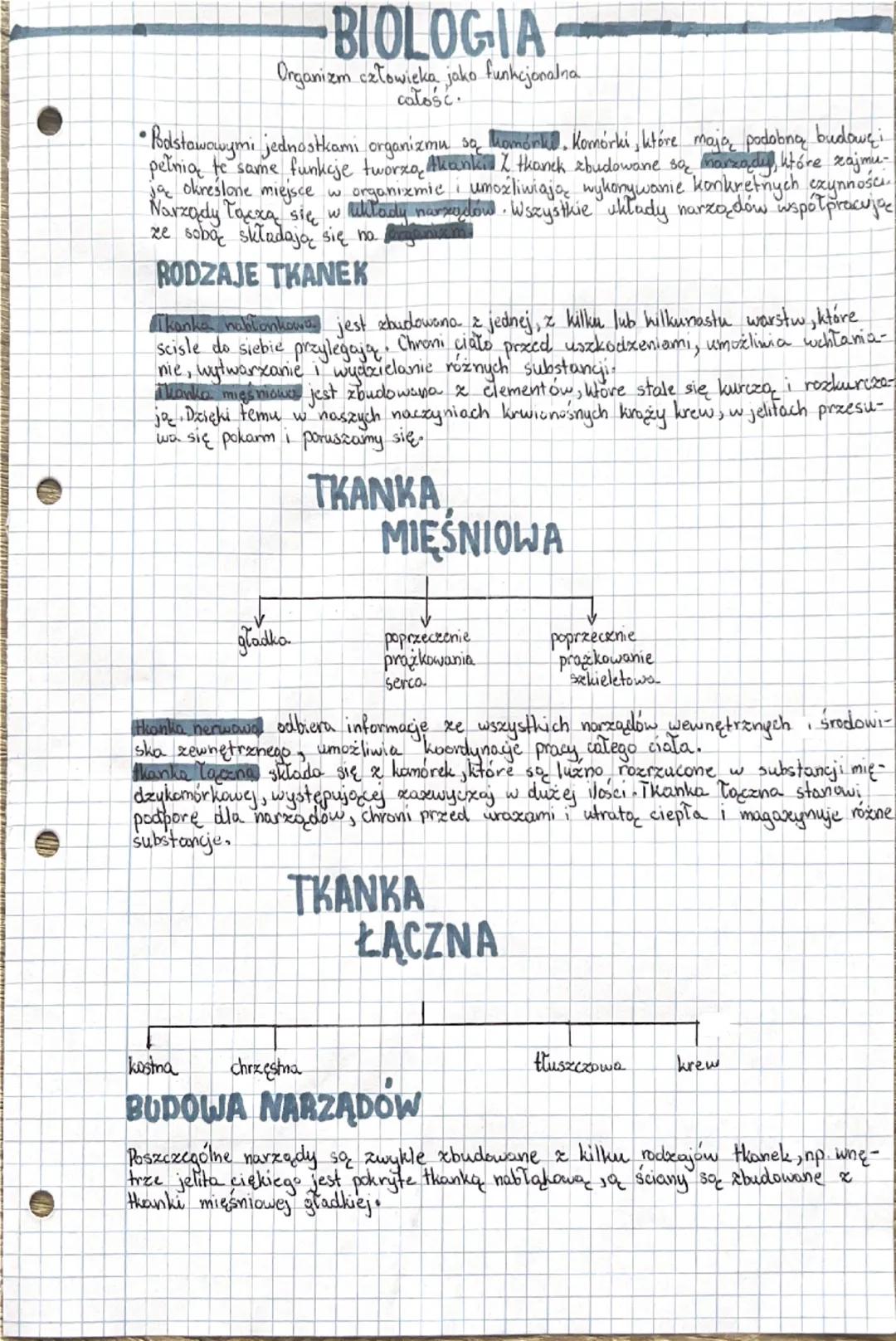 # BIOLOGIA
Organizm człowieka jako funkcjonalna
catosc.

•Bodstawowymi jednostkamı organizmu są komórki, Komórki, które mają podobną budowę 