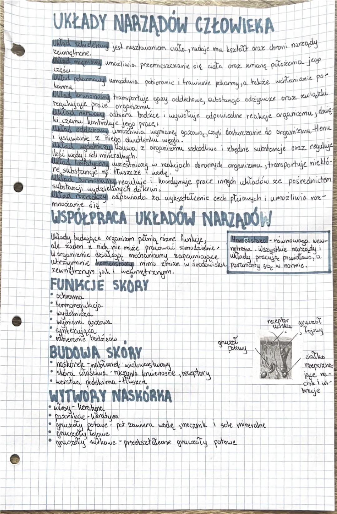 # BIOLOGIA
Organizm człowieka jako funkcjonalna
catosc.

•Bodstawowymi jednostkamı organizmu są komórki, Komórki, które mają podobną budowę 