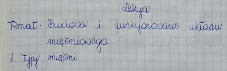 Know Budowa i funkcjonowanie układu mięśniowego thumbnail
