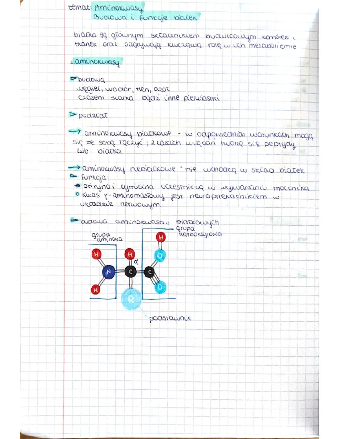 Aminokwasy i Białka: Budowa i Funkcje