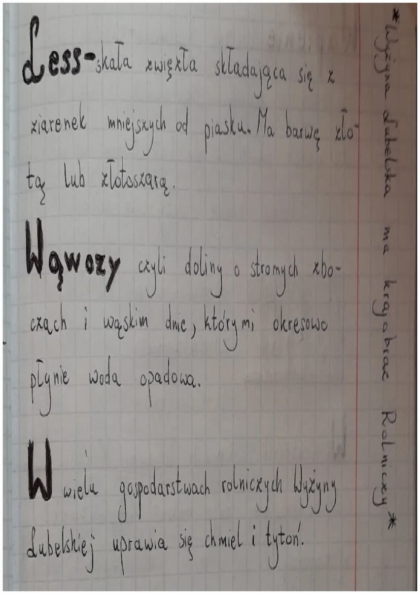 Gmogshmazod орботи пол до боял
3
ma
Węgiel kamienny jest wykorzy.
stywany między innymi do produkcji
leków, kosmetyków, energii elektrycznej