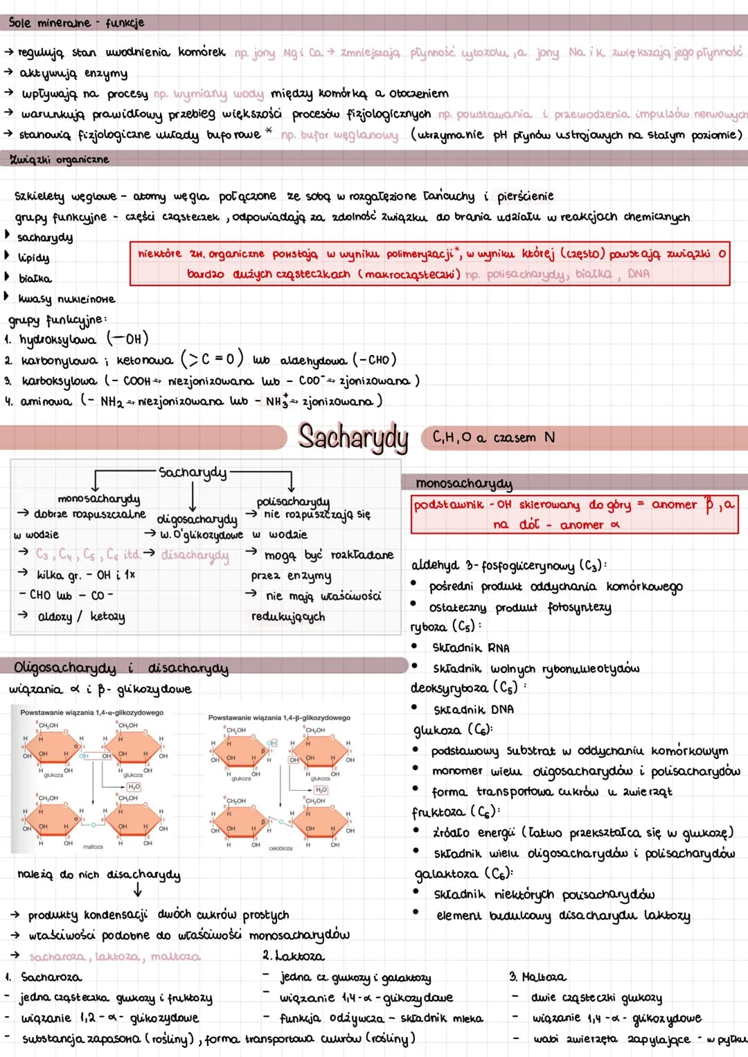 
<p>Mikro i makroelementy odgrywają kluczową rolę w funkcjonowaniu organizmu człowieka. Pierwiastki biogenne, takie jak C, H, O, P, S, N, są