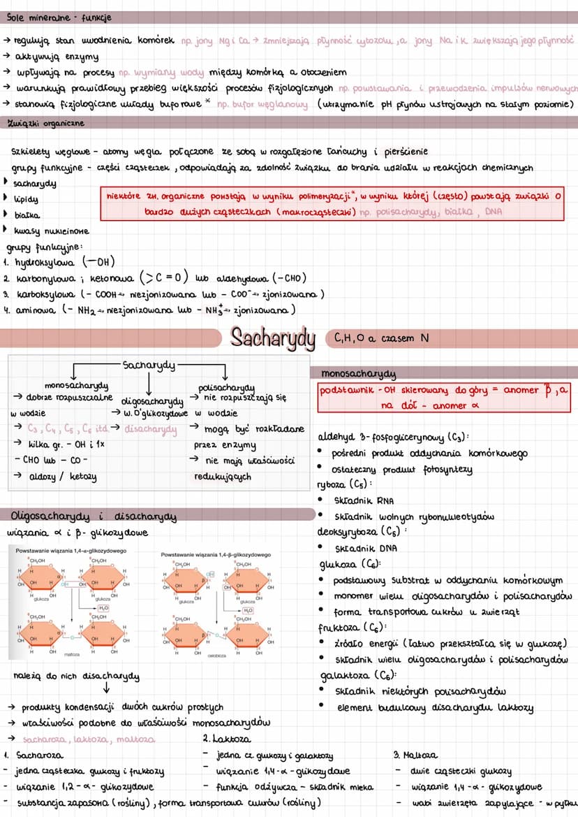 
<p>Mikro i makroelementy odgrywają kluczową rolę w funkcjonowaniu organizmu człowieka. Pierwiastki biogenne, takie jak C, H, O, P, S, N, są