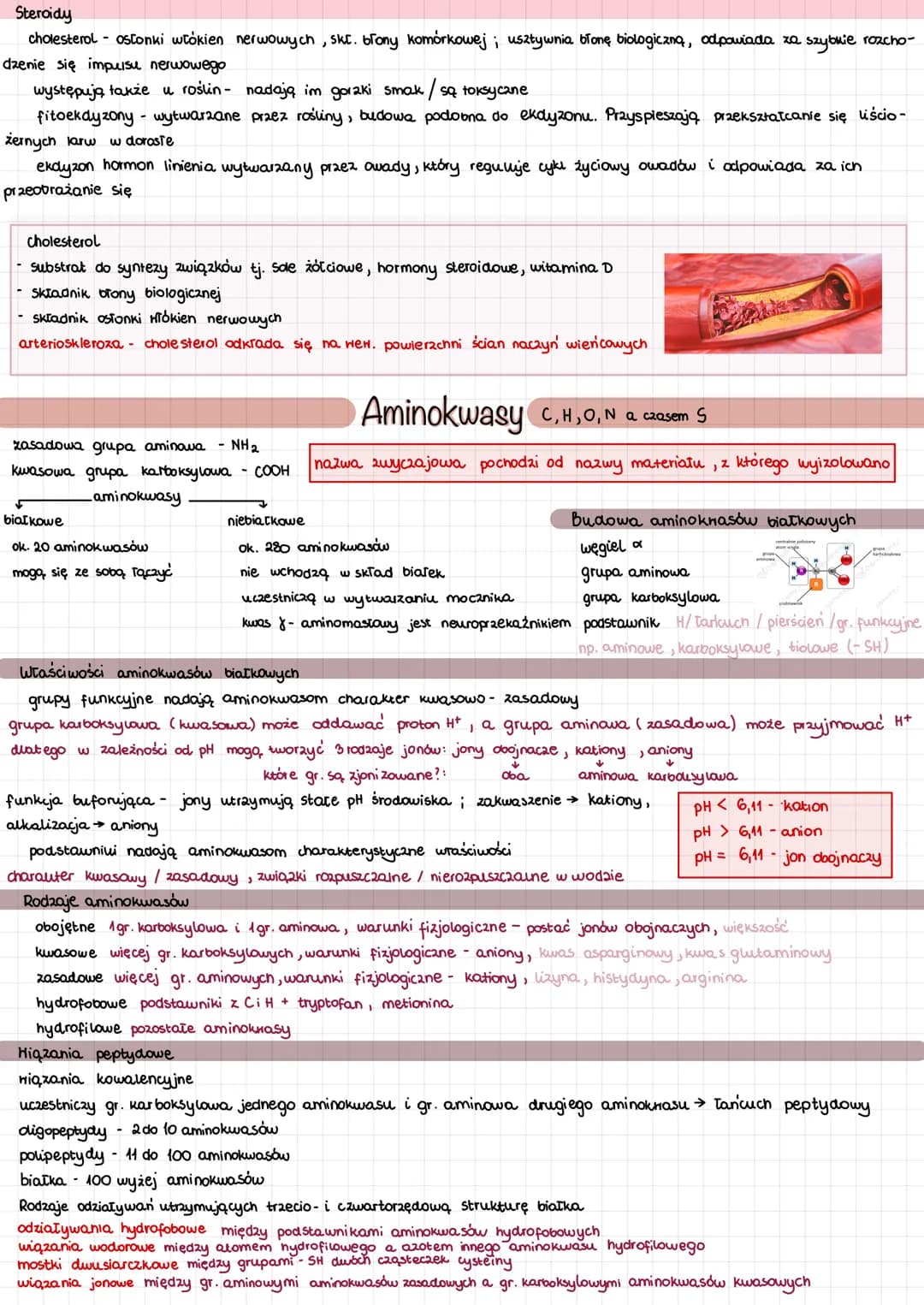 
<p>Mikro i makroelementy odgrywają kluczową rolę w funkcjonowaniu organizmu człowieka. Pierwiastki biogenne, takie jak C, H, O, P, S, N, są