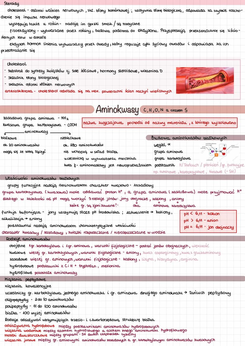 
<p>Mikro i makroelementy odgrywają kluczową rolę w funkcjonowaniu organizmu człowieka. Pierwiastki biogenne, takie jak C, H, O, P, S, N, są