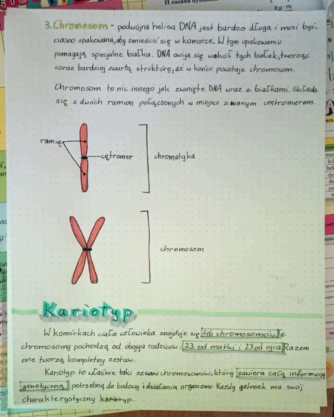 # Budowa DNA

## Odkrycie budowy DNA

W 1953r. James Watson i Francis Crick, kozystając z badani m.in Rosalind Franklin,
odkrgli, jak wygląd