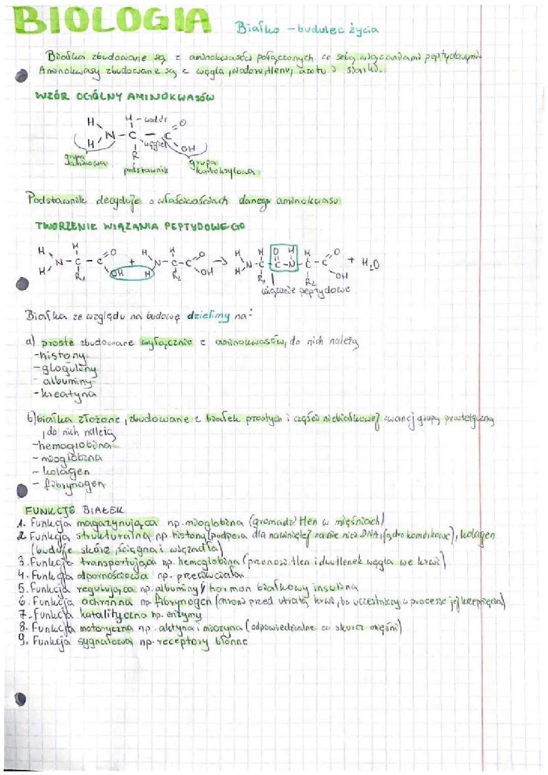 białko-budulec życia