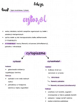 Know Cytozol - budowa i funkcje thumbnail