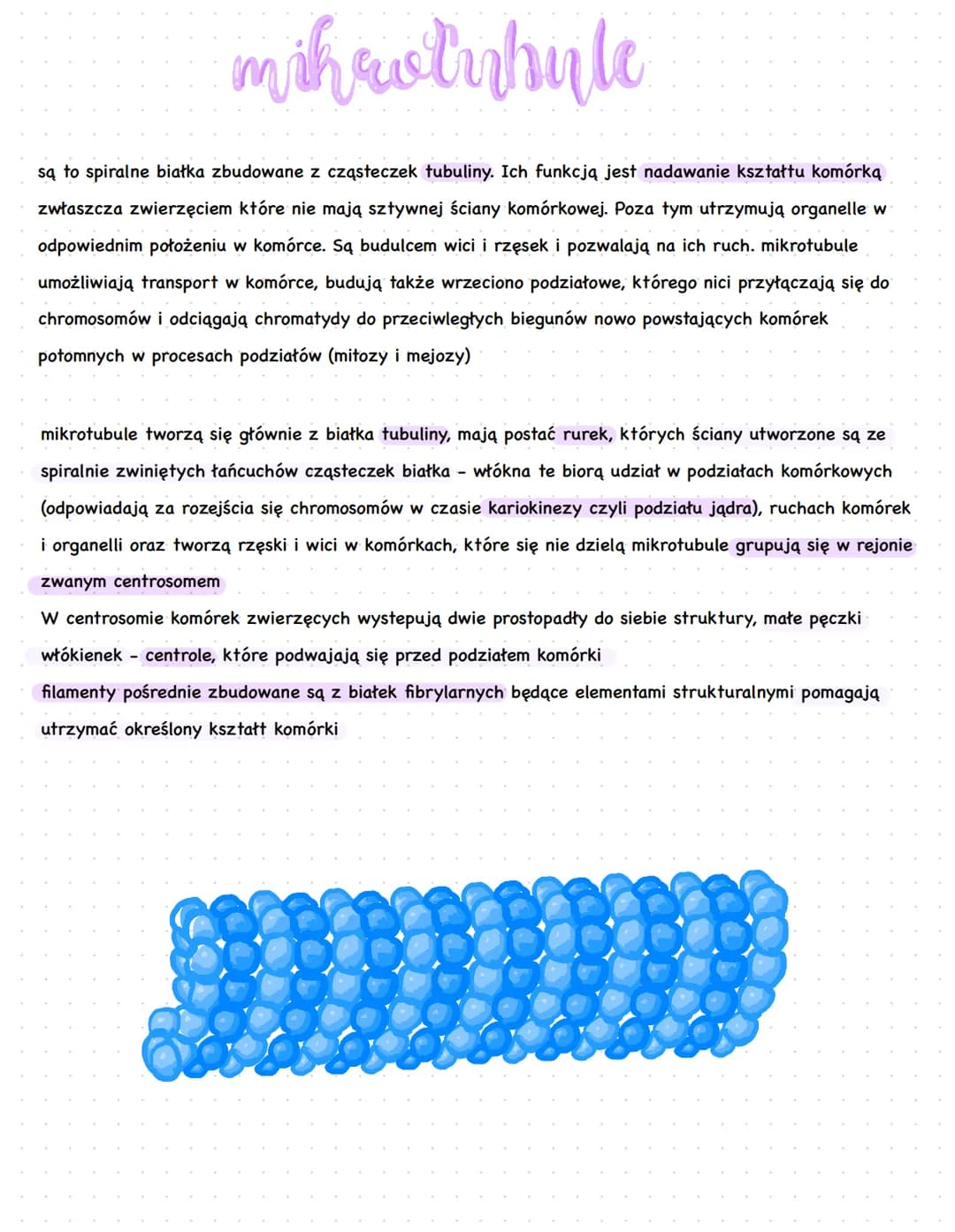 temat : Jądro komórkowe. Cytozol.
●
●
budowa:
wodny koloidalny roztwór związków organicznych np. białek i
substancji nieorganicznych
oprócz 