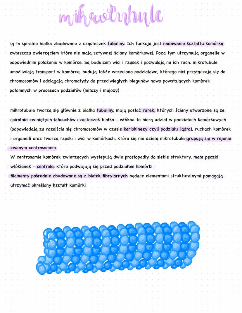 temat : Jądro komórkowe. Cytozol.
●
●
budowa:
wodny koloidalny roztwór związków organicznych np. białek i
substancji nieorganicznych
oprócz 