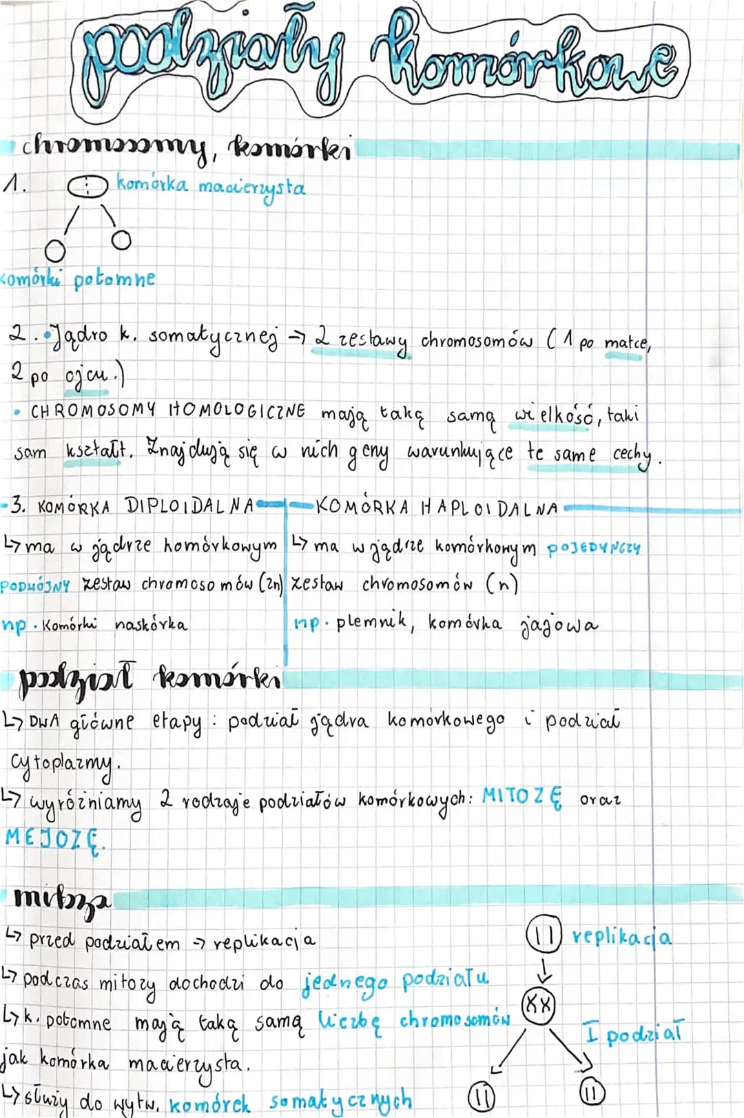 podypaly Komárkase
chromosomy, komórki
komórka macierzysta
1.
O O
Komórki potomne
2. Jadro k, somatycznej - 2 zestawy chromosomów (1 po matc