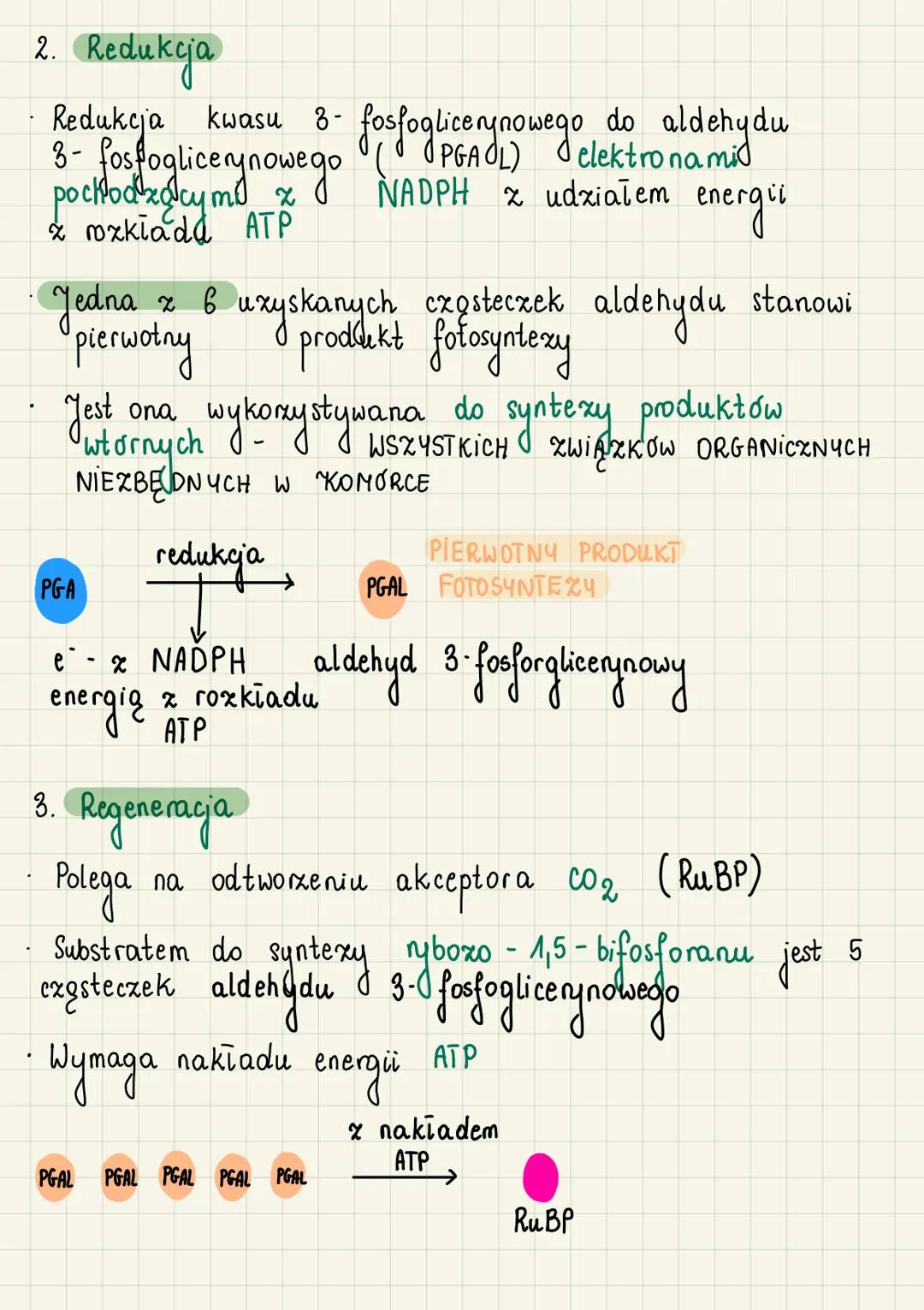 Autrotoficzne odzywianie
się organizmów
do
Autotrofizm (samozywność) - zdolność organizmu
samodzielnego wytwarzania związków organicznych ze