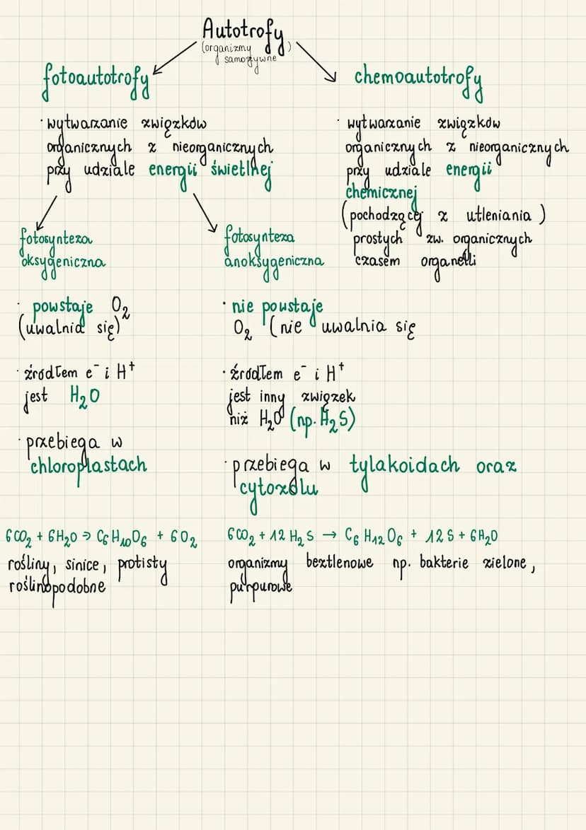 Autrotoficzne odzywianie
się organizmów
do
Autotrofizm (samozywność) - zdolność organizmu
samodzielnego wytwarzania związków organicznych ze