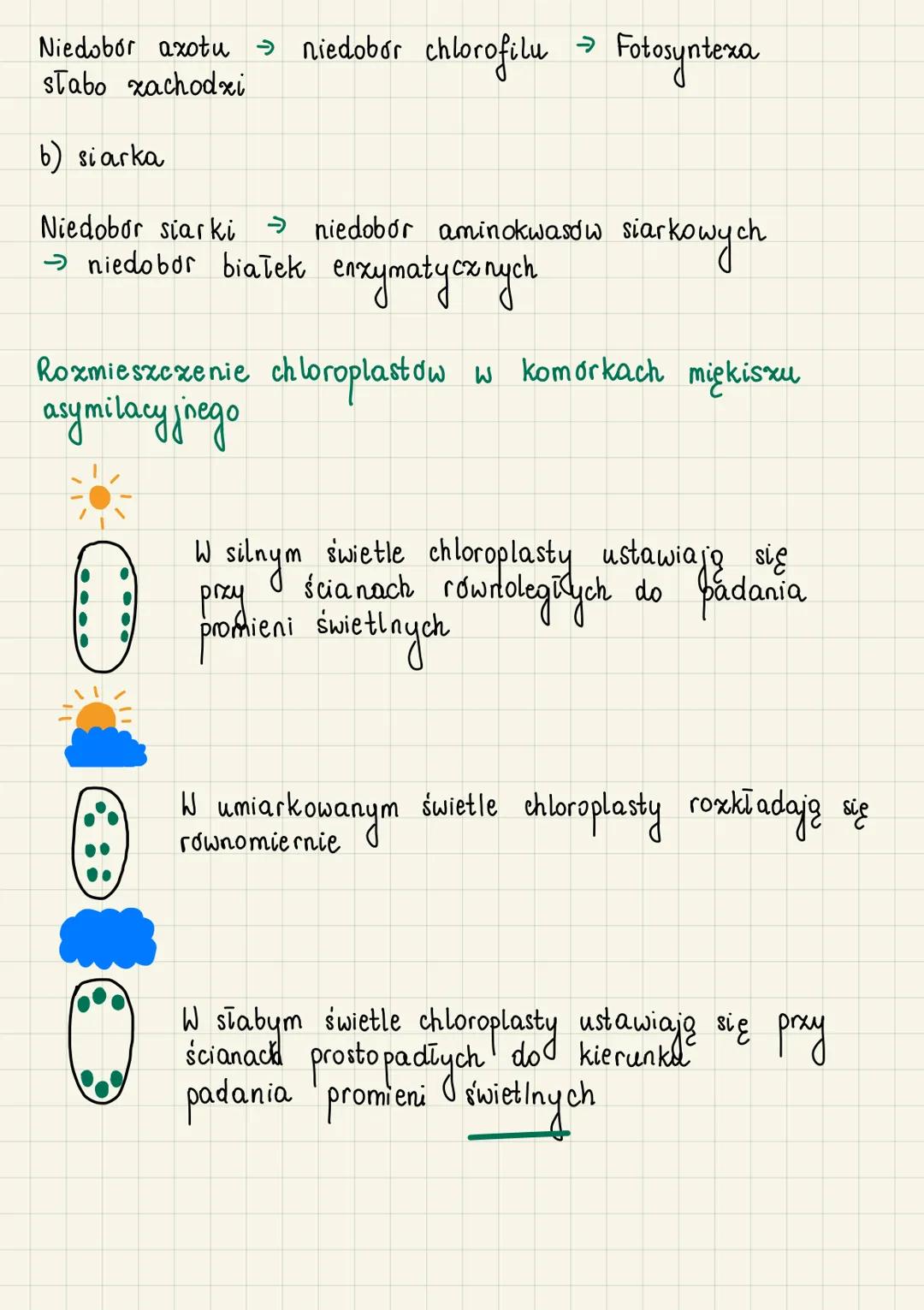 Autrotoficzne odzywianie
się organizmów
do
Autotrofizm (samozywność) - zdolność organizmu
samodzielnego wytwarzania związków organicznych ze