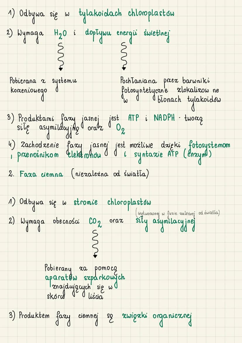 Autrotoficzne odzywianie
się organizmów
do
Autotrofizm (samozywność) - zdolność organizmu
samodzielnego wytwarzania związków organicznych ze