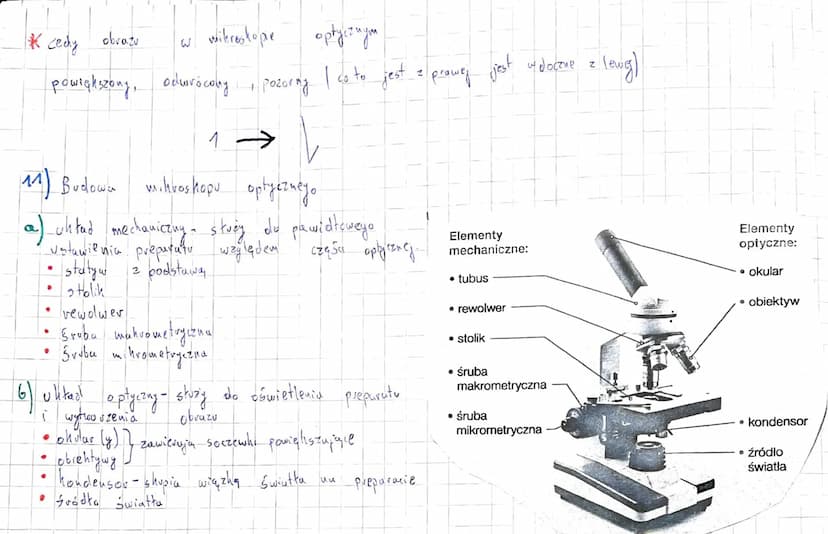 
<h2 id="biologiabadaniaprzyrodnicze">Biologia badania przyrodnicze</h2>
<p>Biologia to nauka zajmująca się budową organizmów, ich życiem śr