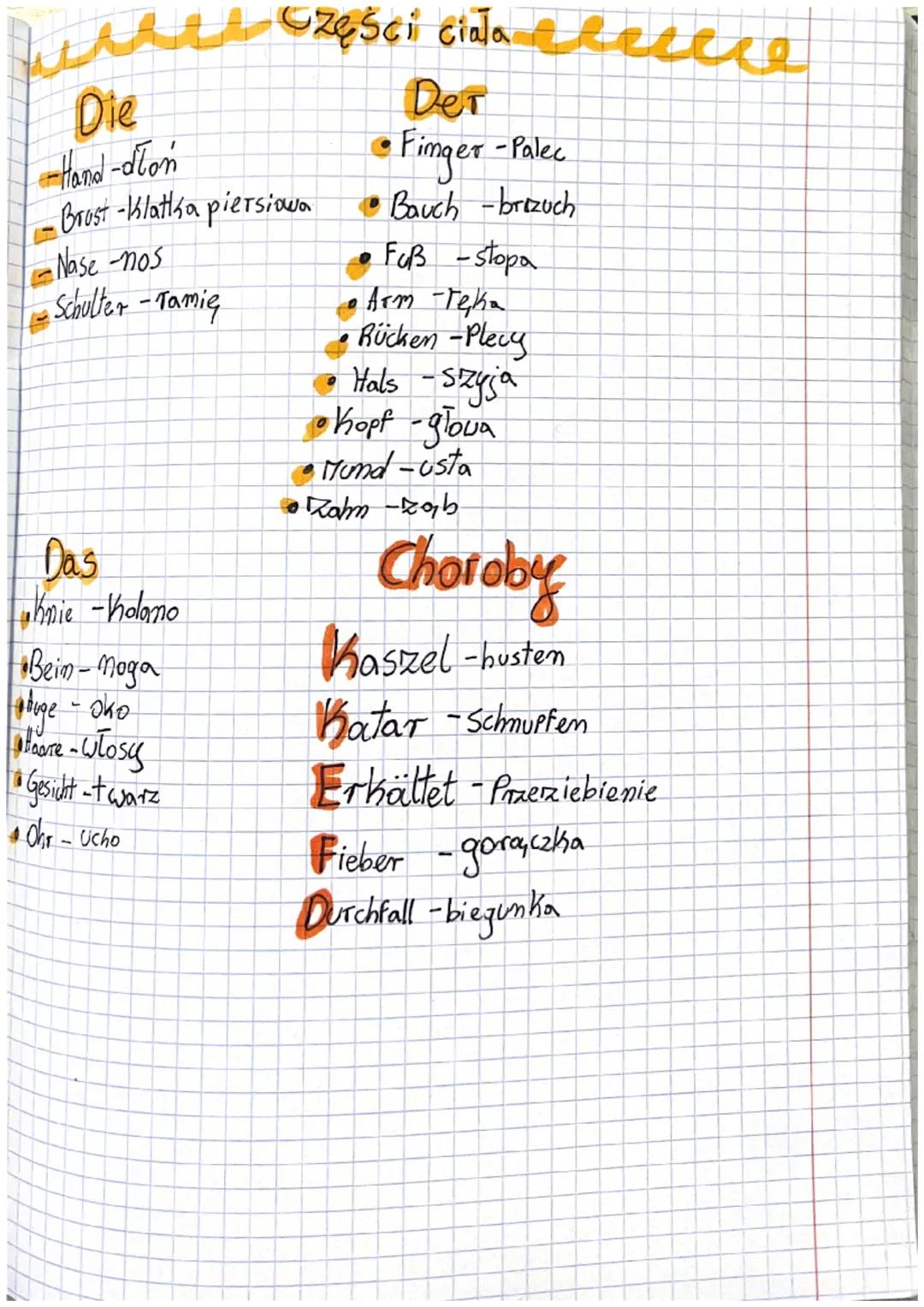 ALL Części Gina eleme
Der
• Finger
-Palec
•Bauch - brizuch
Fuß -stopa
Die
-Hand-dłoń
Brust - Klatka piersiowa
•Nase -nos
Schulter - Tamię
Da