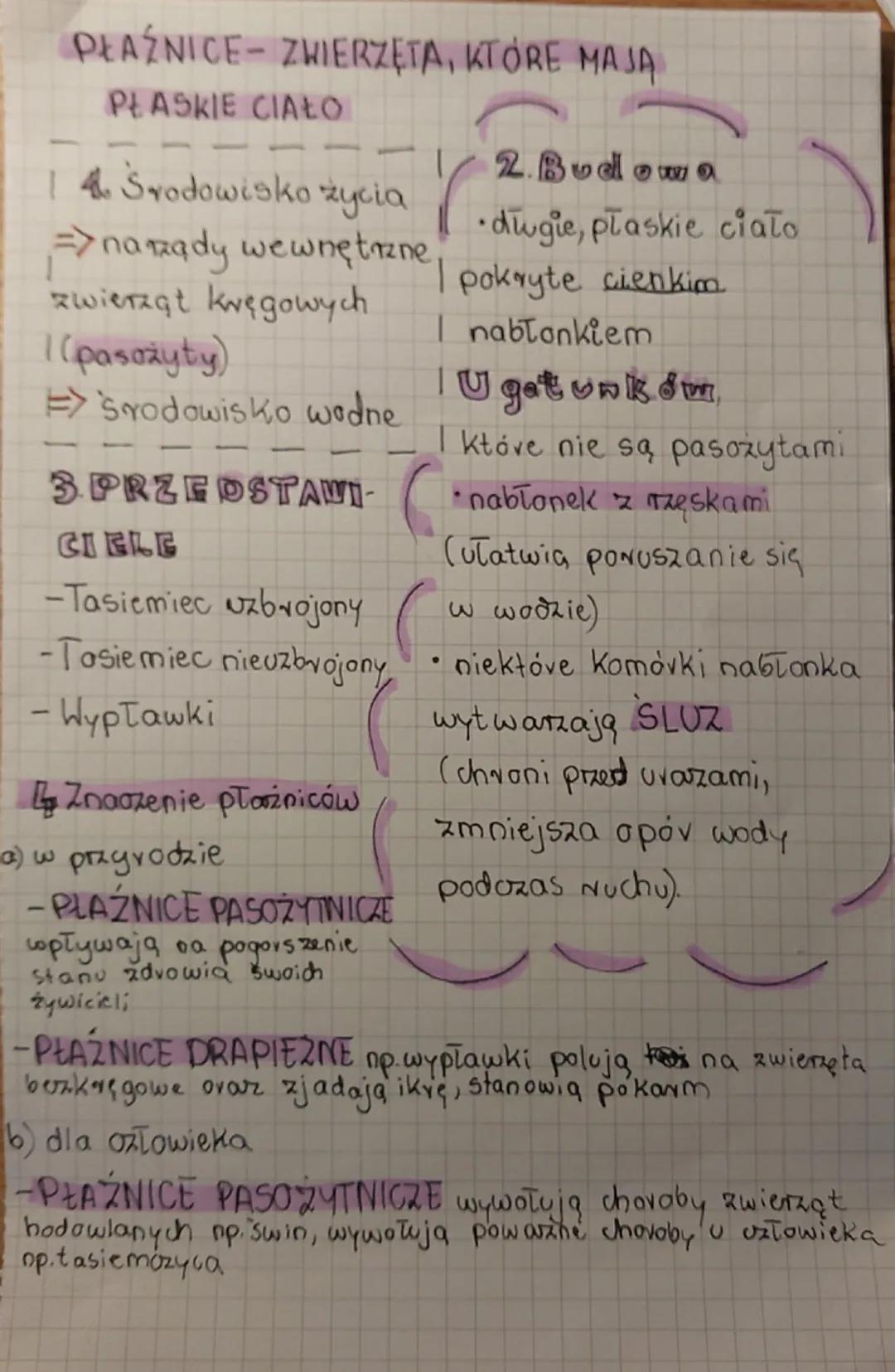 PŁAŹNICE-ZWIERZĘTA, KTÓRE MAJĄ
PŁASKIE CIAŁO

2. Budow
•dugie, płaskie ciało
e/ pokryte cienkim
14. Środowisko życia.
⇒narządy wewnętrzne,
z