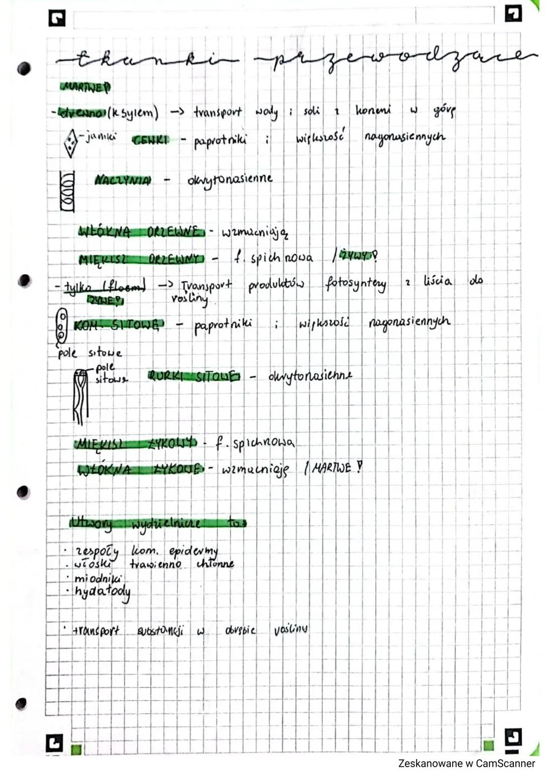 • tkanki
roslinne
tkanki twórcze
kan
.
Tranki tworezie (mevysystematyczne) - zbudowane 2
Dzięki
komórek
temu
i pnyrost na szerokość
Drielimy