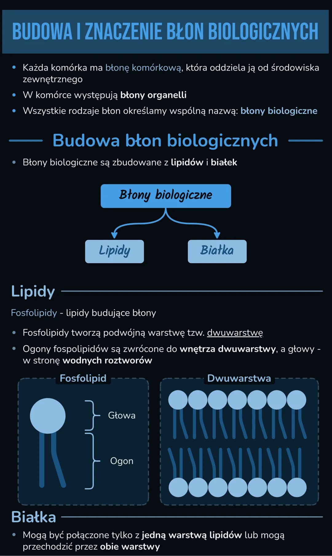 Budowa i znaczenie błon biologicznych