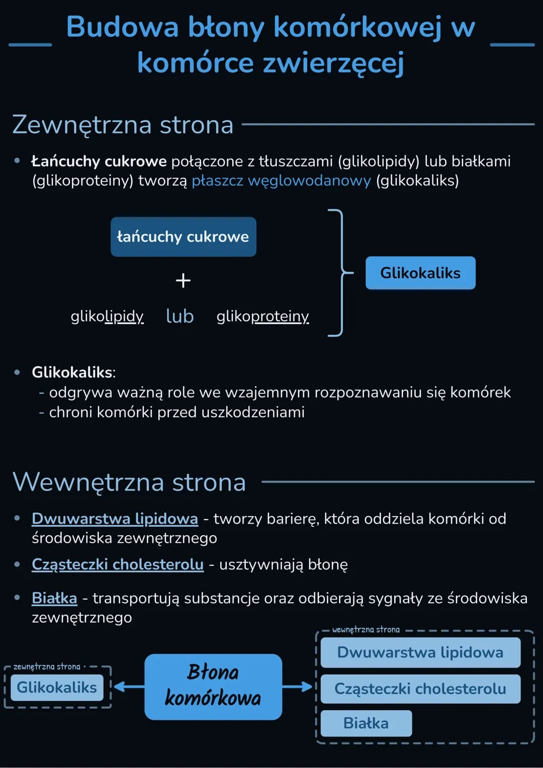 BUDOWA I ZNACZENIE BŁON BIOLOGICZNYCH
• Każda komórka ma błonę komórkową, która oddziela ją od środowiska
zewnętrznego
W komórce występują b