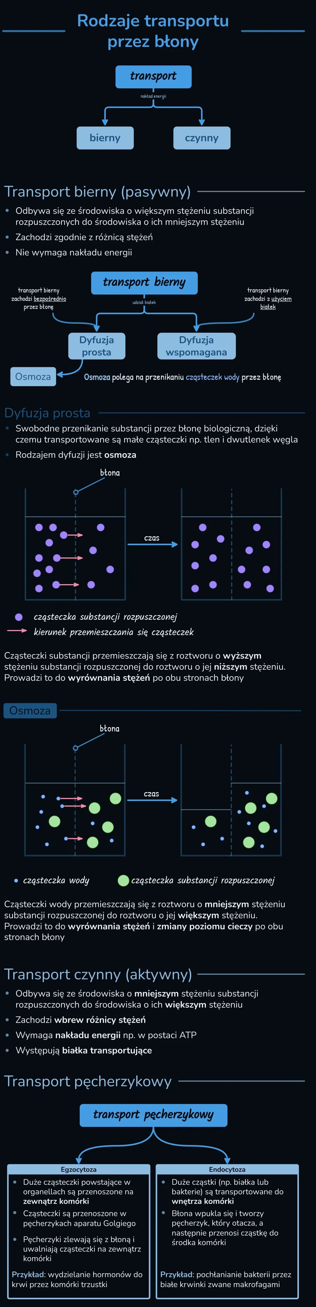 BUDOWA I ZNACZENIE BŁON BIOLOGICZNYCH
• Każda komórka ma błonę komórkową, która oddziela ją od środowiska
zewnętrznego
W komórce występują b