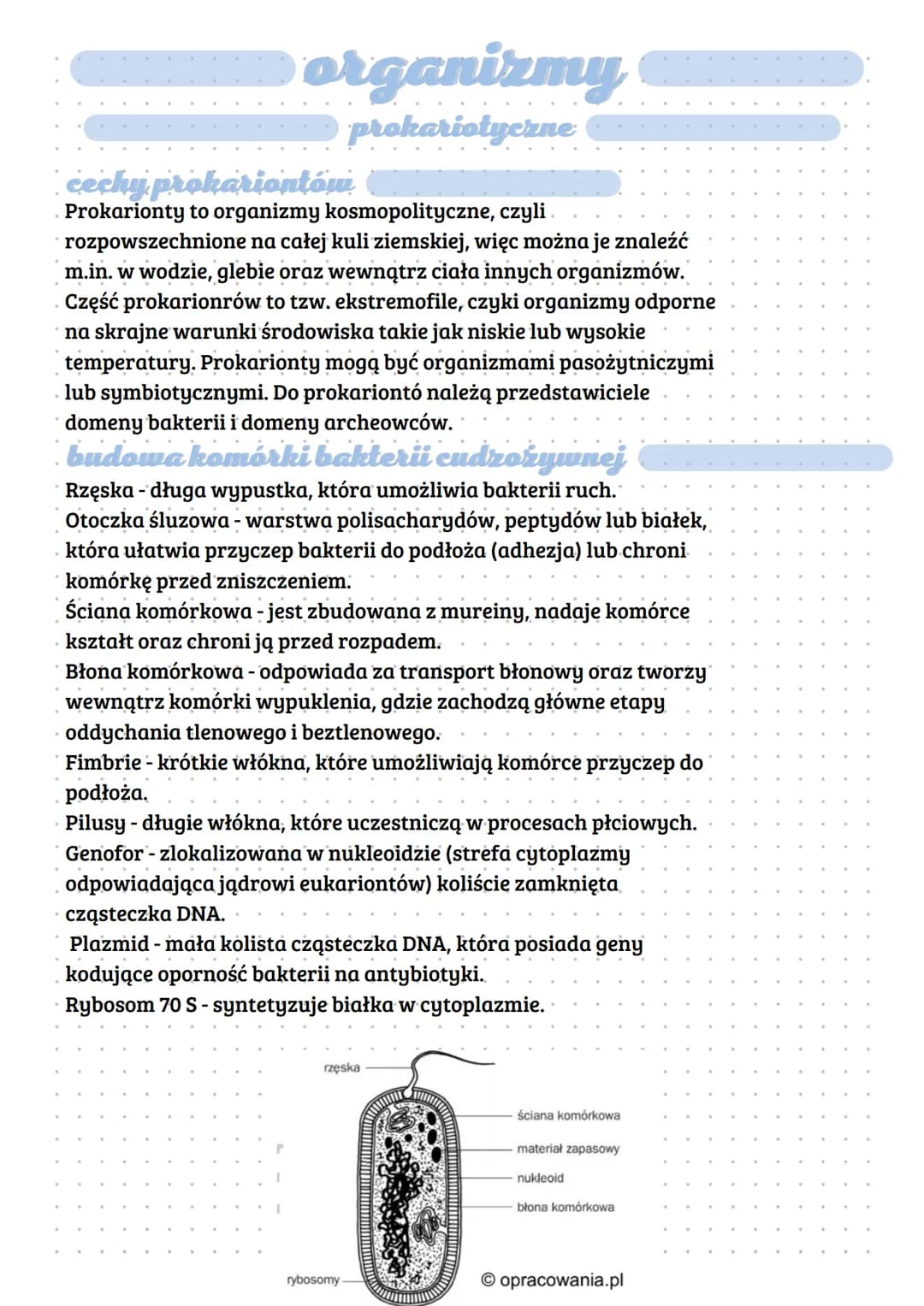 organizmy
prokariotyczne
cechy prokariontów
Prokarionty to organizmy kosmopolityczne, czyli
rozpowszechnione na całej kuli ziemskiej, więc m