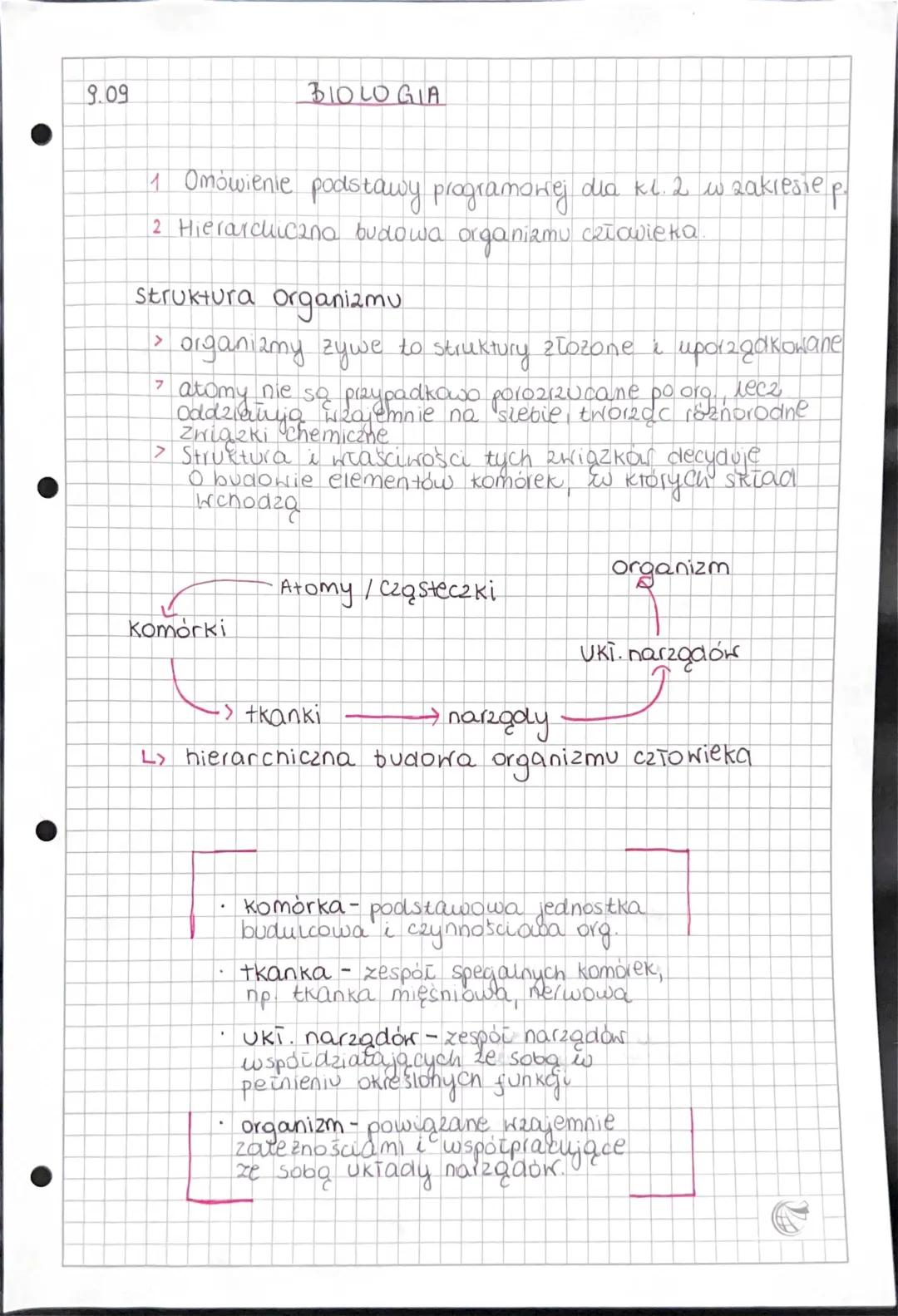 Hierarchiczna Budowa Organizmu Człowieka Notatka i Ćwiczenia dla Klasy 7