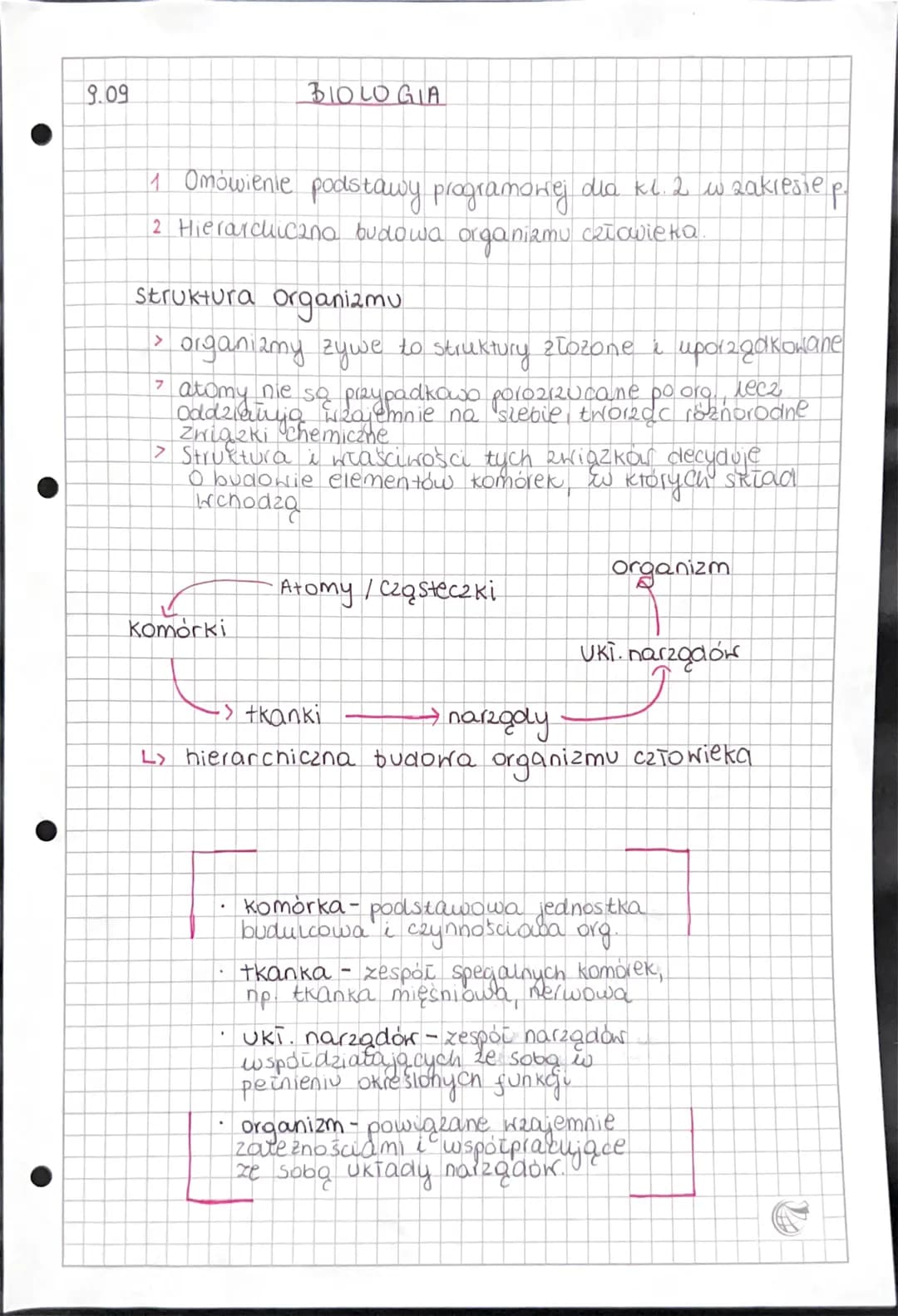 9.09
1 Omówienie podstawy programowej dio kl.2 w zakresie p.
2 Hierarchiczna budowa organizmu człowieka.
Struktura organizmu
> organizmy zyw