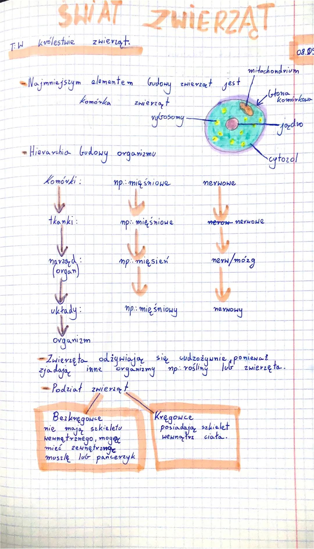 Klasyfikacja zwierząt - przykłady systematyki i podziału kręgowców i bezkręgowców