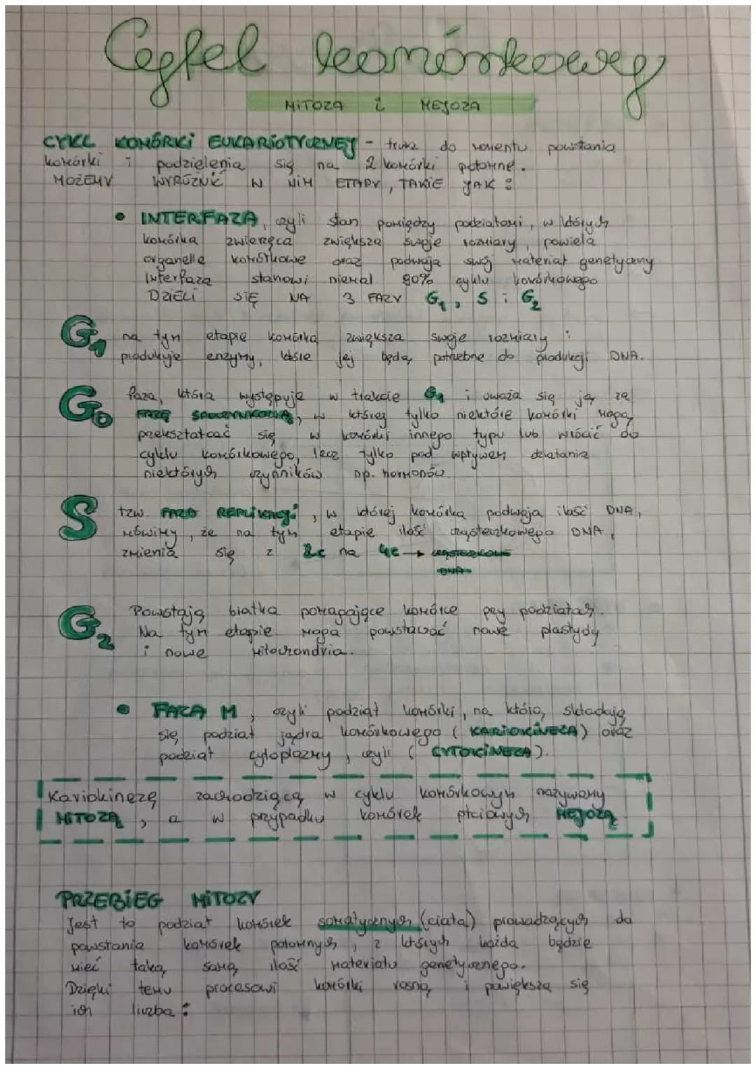 CYKL KOMÓRKOWY rozszerzenie 