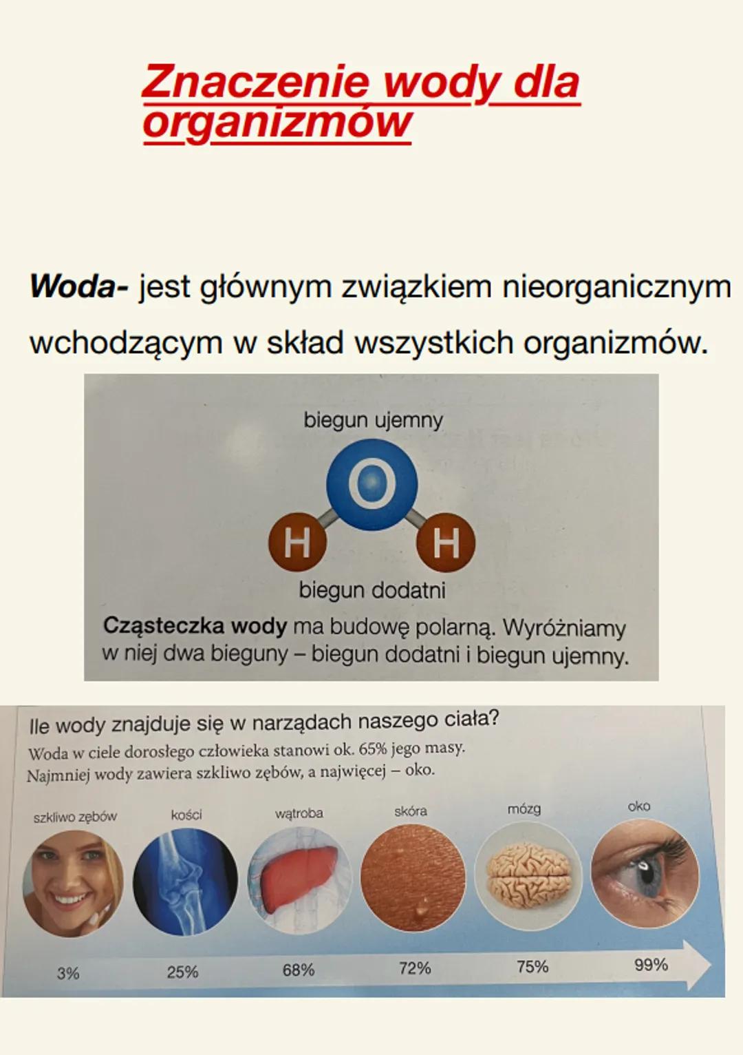 Biologia
Makro i mikro elementy
węglo-
wodany
związki organiczne
białka
lipidy
pierwiastki
biogenne
Pierwiastki chemiczne
węgiel (C)
• wodór