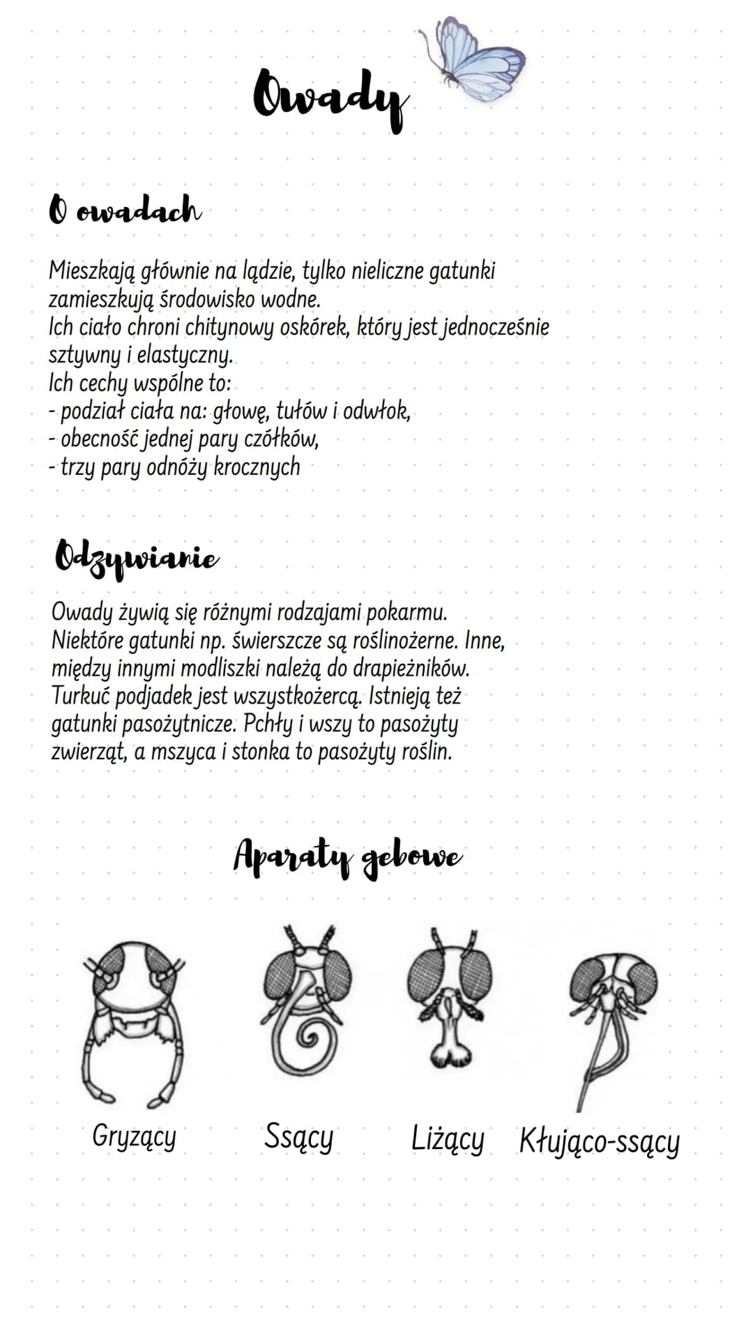 szczypce raka
Odnoza owadow
} p
odnóże chwytne
modliszki
odnóże pływne
odnóże bieżne muchy pluskwiaka wodnego
Na
odnóże skoczne konika polne