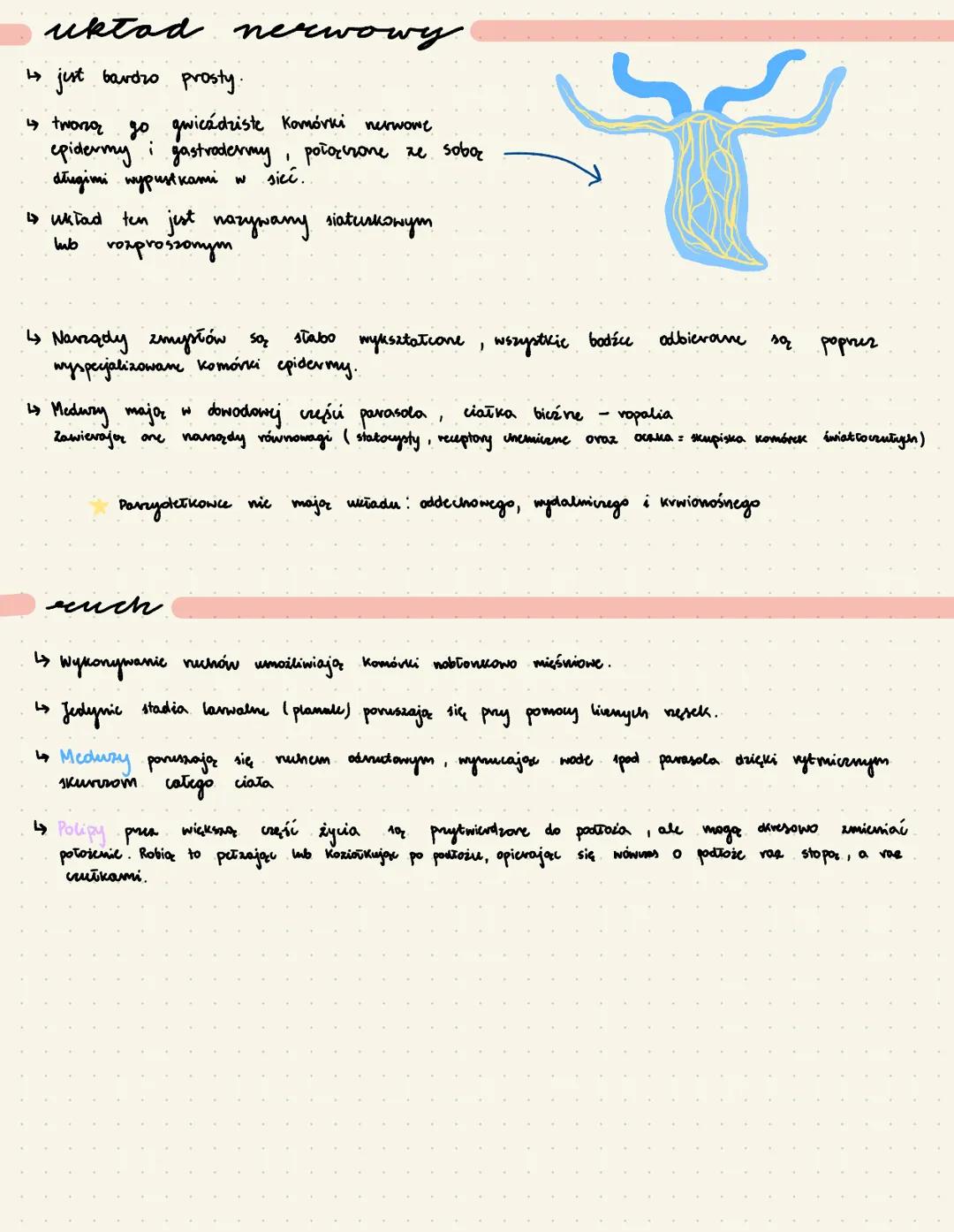 par
↳tkankowe zwierzęta duinewarstwowe o
↳ żyją we wszystkich strefach klimatycznych, wyłącanic
↳ dzieląr
się
в wystepwjaz
POLIP->
sydechowc